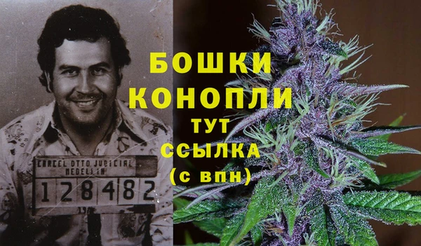 гидропоника Наволоки