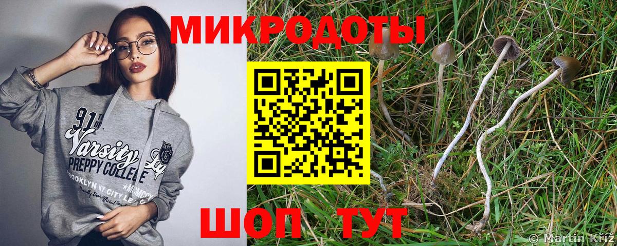 Псилоцибиновые грибы MAGIC MUSHROOMS  Вход с VPN  Бийск 