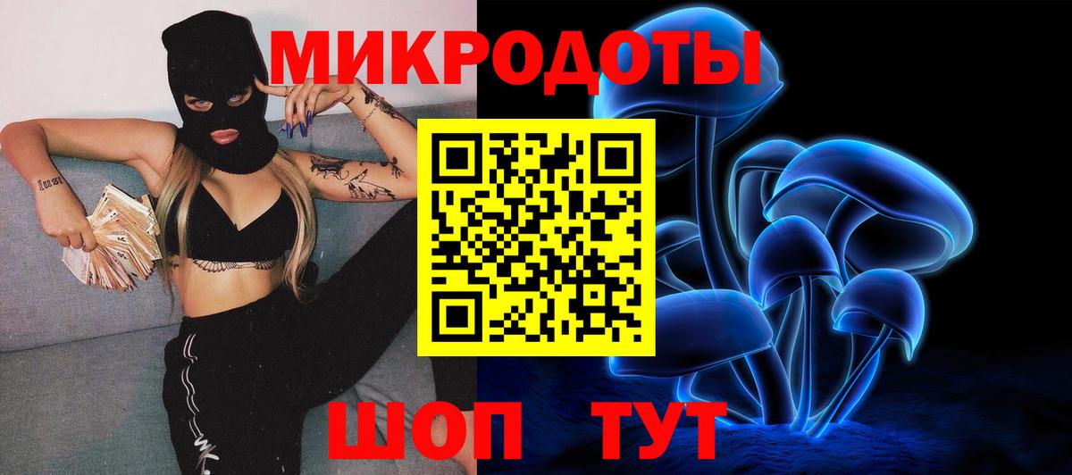 Псилоцибиновые грибы GOLDEN TEACHER  где купить наркоту  Псилоцибиновые грибы MAGIC MUSHROOMS  Бийск 